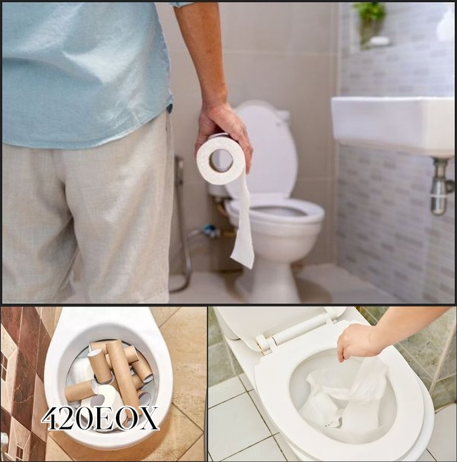 Giấy vệ sinh dày khó tan cùng những vật cứng như nhựa, đồ chơi hay vải vụn chính là thủ phạm khiến bồn cầu dễ nghẹt, gây mùi hôi, trào ngược và tốn kém chi phí sửa chữa.